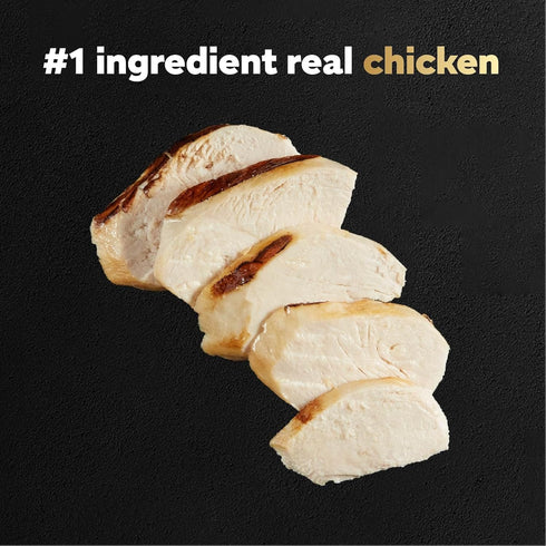 Cesar Filets in Gravy Wet Dog Food, Wood-Grilled Chicken Flavor, 1.76 oz Mini-Pouch, 20 Pack