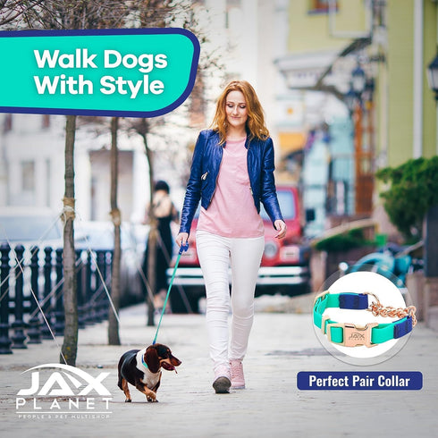 Jelly Color-Block Waterproof Dog Leash - Outdoor Training Agility Leash for Yard, Walking, Hiking, Play, Camping - 5ft,