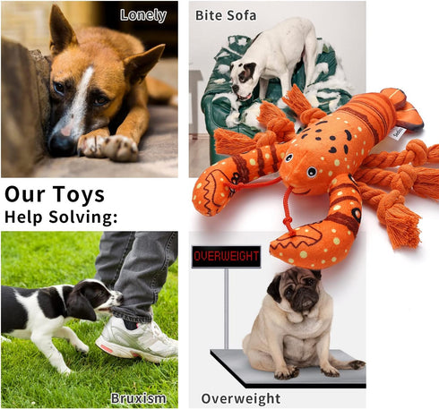 Dog Toys - Cute Plush Squeaky Toy for Large Breed, Puppy Chew Toy (Lobster)