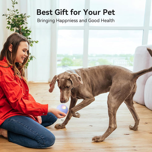 Cheerble Smart Interactive Dog Toy - Wicked Ball, Automatic Moving Bouncing Ball for Medium Large Dogs