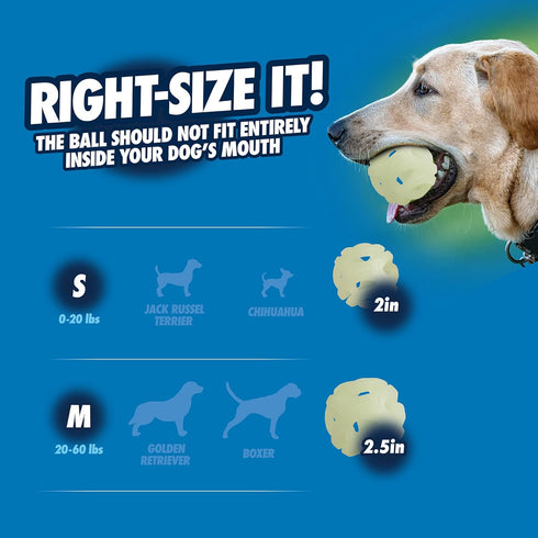 (2.5 Inch) Pack 2, 20-60 lbs Chuckit! Air Glow Fetch Ball Dog Toy, Medium of for Breeds