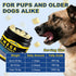 3 3 6 9 120ct Omega for Dogs, Salmon Fish Oil for Dogs Skin and Coat Chew with Omega (EPA+DHA), ZINC, BIOTIN