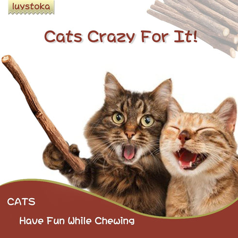 Silvervine Sticks for Cats, 30PCS Wooden Chew Toys, Matatabi Catnip Teething Toys for All Ages