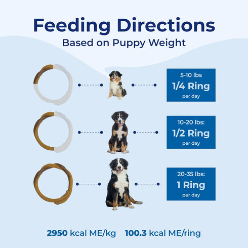 (1 Pack 6 (113048) N-Bone Puppy Teething Ring Chicken Flavor Of Rings)