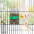 Hypeety Automatic Parrot Water Feeder, Clear No Mess Dispenser for Budgies, Cockatiels, and Lovebirds (Green & 1pc)