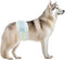 BV Dog Diapers Male Large (Waist 21-26in) Super Absorbent - 50 Count