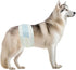 BV Dog Diapers Male Large (Waist 21-26in) Super Absorbent - 50 Count