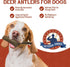Heartland Deer Antlers for Dogs, Grade A Naturally Shed Antlers, Chew Toy for Aggressive Chewers (Small: 4-5 Deer