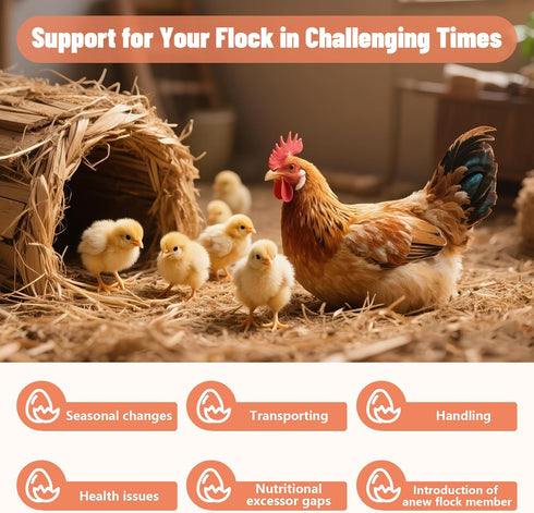 Lazersell Immunity, 8.8 OZ Chicken Electrolyte for Water, Ideal for Hydration, Digestive Health, Chicken Vitamins