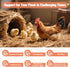 Lazersell Immunity, 8.8 OZ Chicken Electrolyte for Water, Ideal for Hydration, Digestive Health, Chicken Vitamins