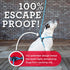 Harness Lead No Pull Dog Harness and Leash Set, Anti Pull Design for All Breeds, One-Piece Cushioned Rope