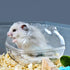Hamster Sand Bath Container with Cleaning Scoop, Large Sand Bath Box, Perfect for Dwarf and Syrian Hamsters