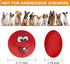 Squeaky Dog Toy, Durable Chewing Latex Rubber Balls with Funny Face for Puppy Small Medium Dogs (5PCS)