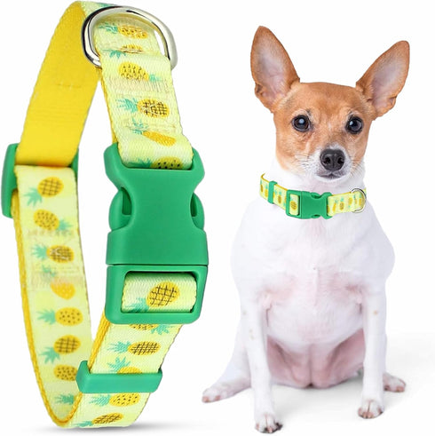 Parisian Pet Pineapple Dog Collar - Adjustable Pattern Buckle Safety Collar for Medium Dogs, Nylon-Breathable