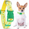 Parisian Pet Pineapple Dog Collar - Adjustable Pattern Buckle Safety Collar for Medium Dogs, Nylon-Breathable