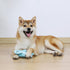Dog Chew Toys for Aggressive Chewers, Squeaky Toys for Medium Large Dogs, Tough Durable Puppy Teething Toys