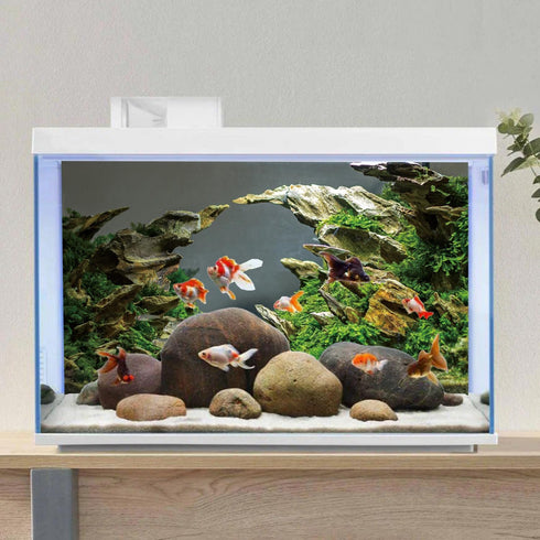 AWERT 36x24 inches Stone Aquarium Background - Aquatic Plant River Bed & Lake Vinyl Background