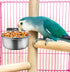 MotBach 3 Pieces Stainless Steel Bird Feeding Dish Cups, Parrot Food Water Bowls with Clamp for Pet Cage