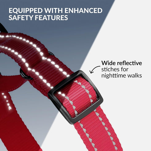 CollarDirect Reflective Martingale Dog Collar, Heavy Duty Nylon Training for Small Medium Large Dogs (S, Neck 11"-15",