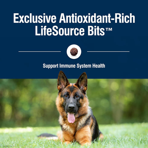 Blue Buffalo True Solutions Blissful Belly Adult Dry Dog Food, Digestive Care Formula, Chicken, 11 lb Bag
