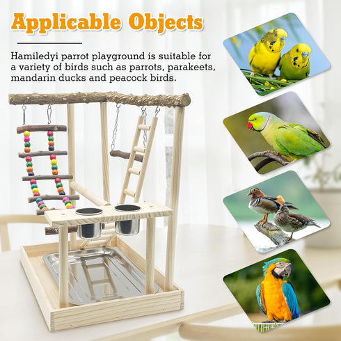 Hamiledyi Bird Playground Parrots Wood Perch Stand Cockatiel Playground Bird Play Gym Colours Climb Ladders Swing