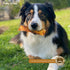 Fieldcrest Farms Nothin to Hide Flip Chips Dog Chews - All Natural Rawhide Alternative, Chicken, Beef or Peanut Butter