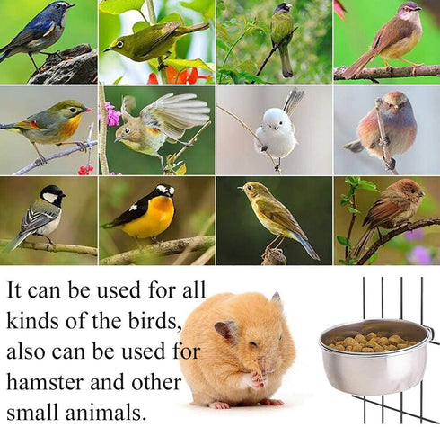 kathson 2 Pack Bird Feeding Dish Cups, Stainless Steel Parrot Feeders with Clamp Holder for Parakeet Cockatiels Conure