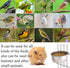 kathson 2 Pack Bird Feeding Dish Cups, Stainless Steel Parrot Feeders with Clamp Holder for Parakeet Cockatiels Conure