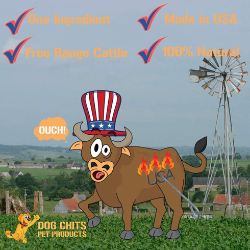 Dog Chits Beef Liver-Premium Cuts | Dog and Puppy Chews | Made in USA, Grass Fed Beef | All-Natural Quality Treats