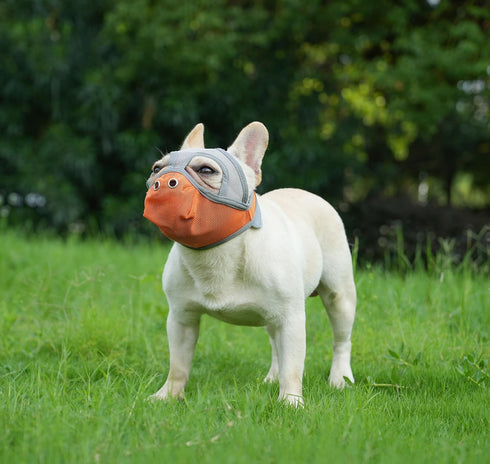 Short Snout Dog Muzzles, Adjustable Breathable Mesh for Bulldogs, Anti-Biting Training, Orange