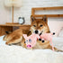 Plush Squeaky Dog Toys for Dogs, Interactive Dog Tug of War Toy for Small/Medium/Large Breed (Pig)