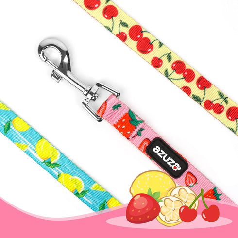 azuza 3 Pack Fruit Design Nylon Dog Leashes, Strong & Durable Basic Leash for Small Dogs, 6FT, 5/8"