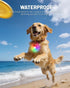 Coolice 2 Packs 4 Dog Lights for Night Walking, LED Collar Light, Modes Light for Walking at Night, Waterproof Dogs