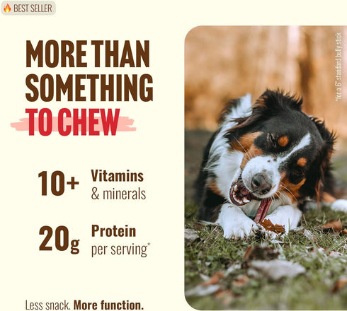 (2-3 Inch, 1 100% Natural Farm Odor Free Bully Sticks Pound) for Small & Medium Dogs - Beef Chews for Pups, Non-GMO