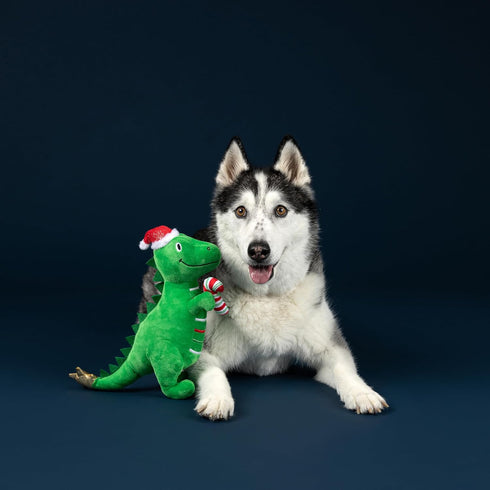 (314629) Fringe Studio Pet Toy, REX-MAS is HERE! Green Rex Plush Dog Toy, PetShop Collection