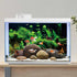 AWERT 24x16 inches River Bed & Lake Fish Tank Background, Seagrass Aquarium Background Vinyl