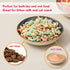5.5 inch Wide Shallow Cat Food Bowl Set for Whisker Fatigue Relief, Ceramic, 6 Colorful Cute Dishes, 8 oz