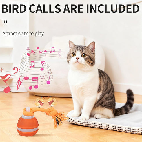 SPGSWCY 2-Pack Interactive Dog & Cat Toys for Small Dogs Indoor Cats - Auto Moving Balls with Chirping Squeaky Sounds