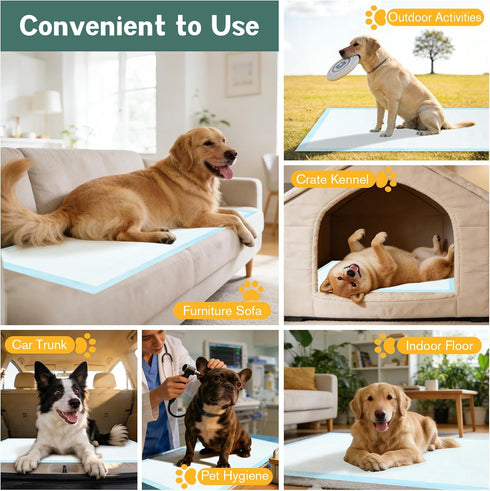 31" 36" 60 Count, 6-Layer Large Puppy Pee Pads for Dogs x Leak-Proof XXL Dog Pee Pads Extra Large, Super Absorbent