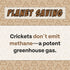 Peanut Butter, Cricket, Pumpkin Gut Health Dog Treats - 5oz, 2-Pack | Natural Prebiotic, Made in USA