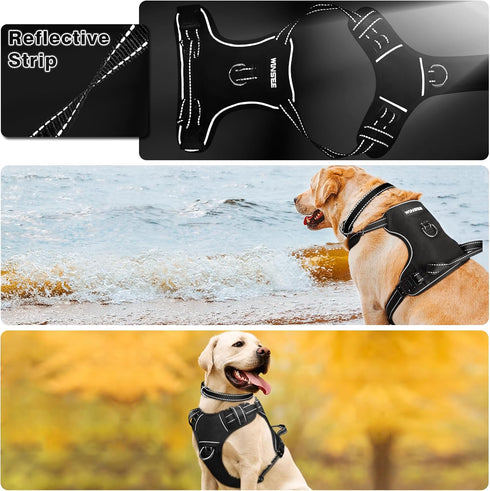 WINSEE Dog Harness No Pull with Collar, Adjustable Reflective Oxford Vest, Front/Back Leash Clips for All Dog Sizes