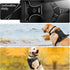 WINSEE Dog Harness No Pull with Collar, Adjustable Reflective Oxford Vest, Front/Back Leash Clips for All Dog Sizes