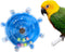 Bird Toys for Parakeets, Interactive Spinner Rattle Budgie Toys, Rotating Wheel Chew