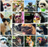 Dog Goggles Sunglasses for Large & Middle Dogs, UV Protective Foldable Eyewear, Adjustable Waterproof (Pink)
