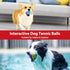 Gigwi Squeaky Tennis Ball Dog Toys - Interactive Dog Ball for Small and Medium Dogs Training, 2.5” Rubber Toy (3 Pack)