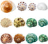 Hermit Crab Shells Medium and Large, 12PCS Growth Turbo Seashells for Small Medium and Large Crabs.