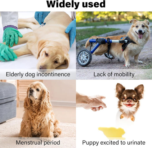 WELOMELO 3 Pack Washable Female Dog Diapers Premium Reusable Diapers for Dog in Heat - Highly Absorbent for Untrained