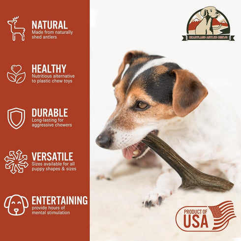 Heartland Deer Antlers for Dogs, Grade A Naturally Shed Antlers, Chew Toy for Aggressive Chewers (Small: 4-5 Deer