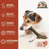 Heartland Deer Antlers for Dogs, Grade A Naturally Shed Antlers, Chew Toy for Aggressive Chewers (Small: 4-5 Deer