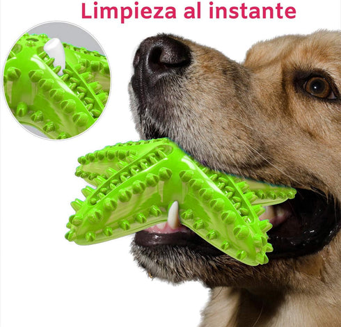 THE SMALL MOMENT Dog Dental Toy - Heavy Duty Teether for Puppies and Adults with Cleansing Bumps - Natural Rubber